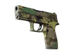 P250 | Boreal Forest (Field-Tested)